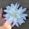 Large-clawed chrysanthemum head simulation flower head 14cm large-clawed chrysanthemum wedding road leading flower row base flower material for home decoration Application Scenario
